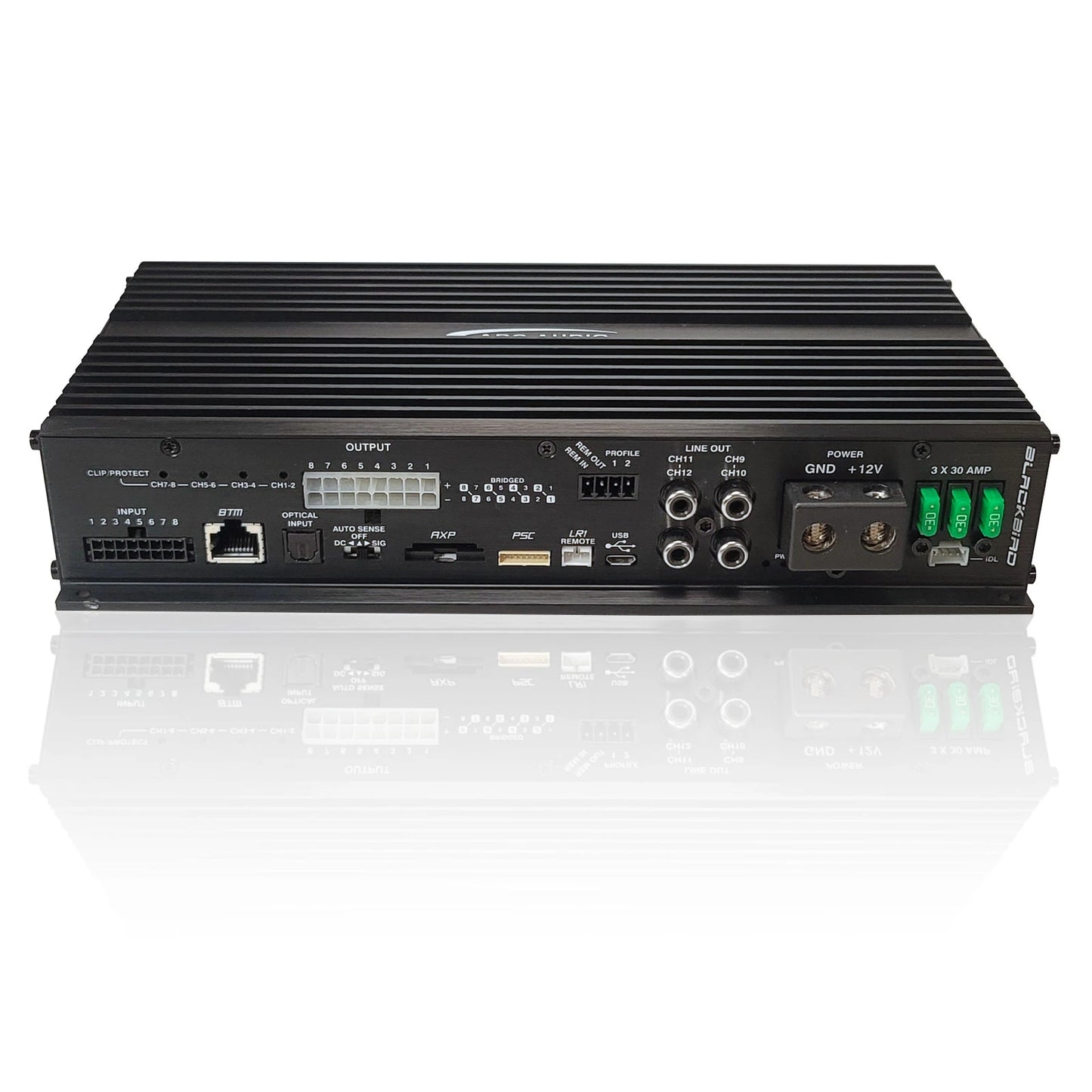 ARC Audio Blackbird Amplifier